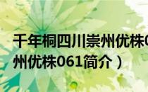 千年桐四川崇州优株061（关于千年桐四川崇州优株061简介）