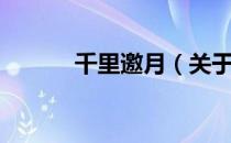 千里邀月（关于千里邀月简介）