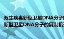 双生病毒新型卫星DNA分子的复制机理研究（关于双生病毒新型卫星DNA分子的复制机理研究介绍）