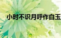 小时不识月呼作白玉盘是哪首诗里的句子