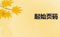 起始页码（起始页）
