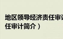 地区领导经济责任审计（关于地区领导经济责任审计简介）