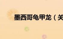 墨西哥龟甲龙（关于墨西哥龟甲龙）