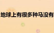 地球上有很多种马没有什么办法来区分它们呢