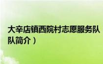 大辛店镇西院村志愿服务队（关于大辛店镇西院村志愿服务队简介）