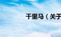 千里马（关于千里马简介）