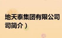 地天泰集团有限公司（关于地天泰集团有限公司简介）