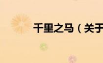 千里之马（关于千里之马简介）