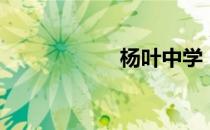 杨叶中学（杨叶中）