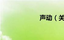 声动（关于声动）