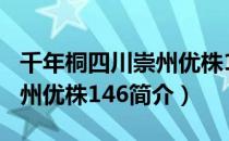 千年桐四川崇州优株146（关于千年桐四川崇州优株146简介）
