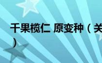 千果榄仁 原变种（关于千果榄仁 原变种简介）