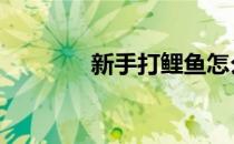 新手打鲤鱼怎么练 过来看看