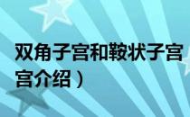 双角子宫和鞍状子宫（关于双角子宫和鞍状子宫介绍）