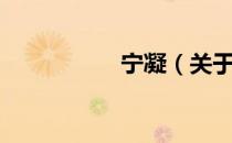 宁凝（关于宁凝介绍）