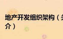 地产开发组织架构（关于地产开发组织架构简介）