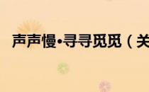 声声慢·寻寻觅觅（关于声声慢·寻寻觅觅）