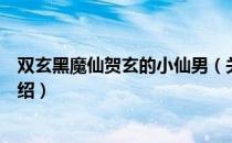 双玄黑魔仙贺玄的小仙男（关于双玄黑魔仙贺玄的小仙男介绍）