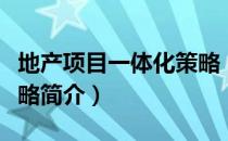 地产项目一体化策略（关于地产项目一体化策略简介）