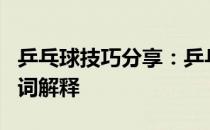 乒乓球技巧分享：乒乓球理论平面支撑原理名词解释
