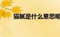 猫腻是什么意思呢（猫腻什么意思）