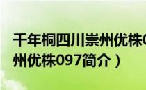 千年桐四川崇州优株097（关于千年桐四川崇州优株097简介）