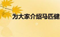 为大家介绍马匹健康鉴定的基本方法