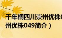 千年桐四川崇州优株049（关于千年桐四川崇州优株049简介）