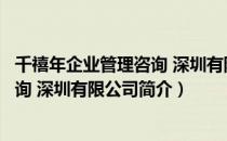 千禧年企业管理咨询 深圳有限公司（关于千禧年企业管理咨询 深圳有限公司简介）