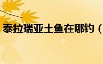 泰拉瑞亚土鱼在哪钓（泰拉瑞亚土鱼在哪钓）