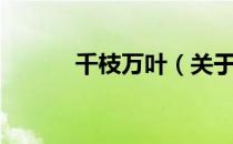千枝万叶（关于千枝万叶简介）