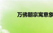 万佛朝宗寓意象征（万佛朝宗）