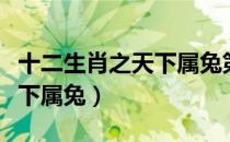 十二生肖之天下属兔第十七集（十二生肖之天下属兔）