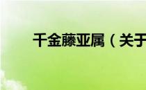 千金藤亚属（关于千金藤亚属简介）