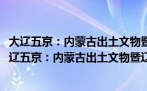 大辽五京：内蒙古出土文物暨辽南京建城1080年展（关于大辽五京：内蒙古出土文物暨辽南京建城1080年展简介）