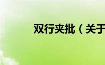 双行夹批（关于双行夹批介绍）