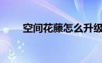 空间花藤怎么升级（花藤怎么升级）