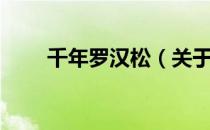 千年罗汉松（关于千年罗汉松简介）