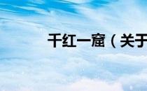 千红一窟（关于千红一窟简介）