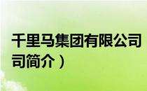 千里马集团有限公司（关于千里马集团有限公司简介）