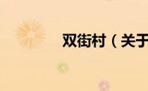 双街村（关于双街村介绍）