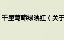 千里莺啼绿映红（关于千里莺啼绿映红简介）