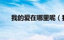 我的爱在哪里呢（我的爱到底在哪里）