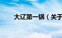 大辽第一锅（关于大辽第一锅简介）