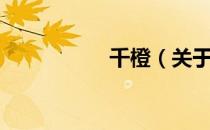 千橙（关于千橙简介）