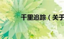 千里追踪（关于千里追踪简介）