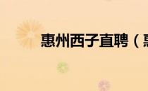 惠州西子直聘（惠州西子人才网）
