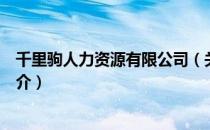 千里驹人力资源有限公司（关于千里驹人力资源有限公司简介）