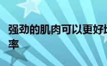 强劲的肌肉可以更好地保护关从而提高运动效率