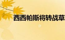 西西帕斯将转战草地赛季争取好成绩